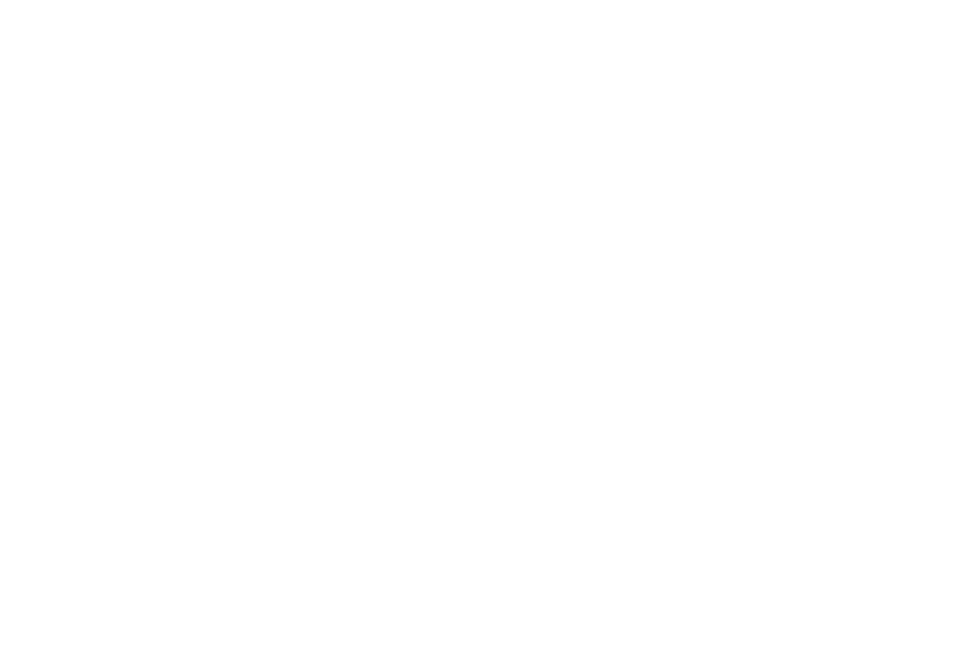 Marcone Bibiano — logotipo